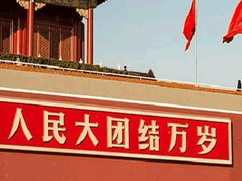 未命名-15.gif