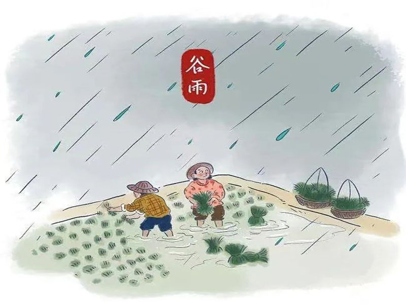 guyu.jpg