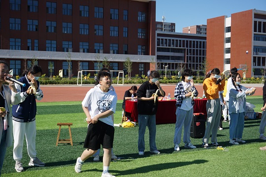 活动6