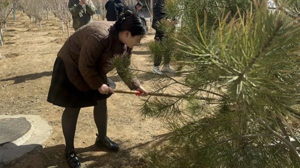 提升生态品质 共建绿色家园 || beat365各二级学院组织开展植树节主题系列活动（二） 第 3 张