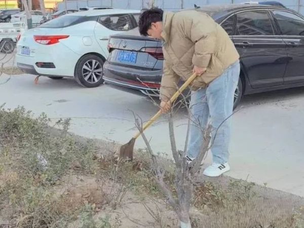 提升生态品质 共建绿色家园 || beat365各二级学院组织开展植树节主题系列活动（二） 第 4 张