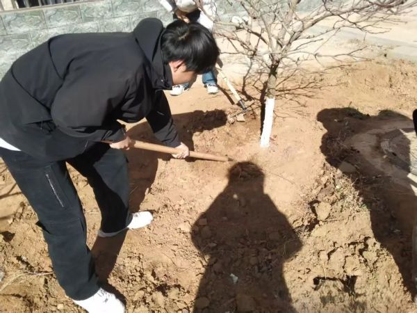 提升生态品质 共建绿色家园 || beat365各二级学院组织开展植树节主题系列活动（二） 第 5 张