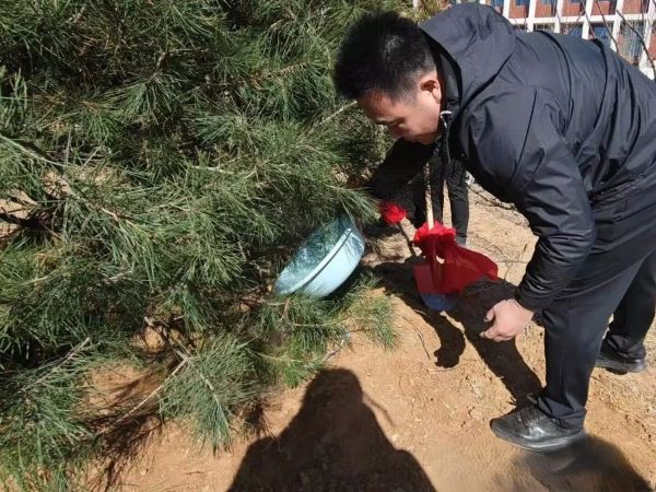 提升生态品质 共建绿色家园 || beat365各二级学院组织开展植树节主题系列活动（二） 第 7 张