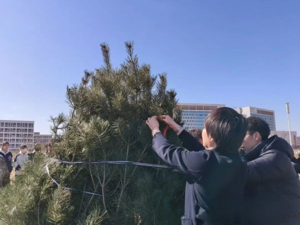 提升生态品质 共建绿色家园 || beat365各二级学院组织开展植树节主题系列活动（二） 第 12 张