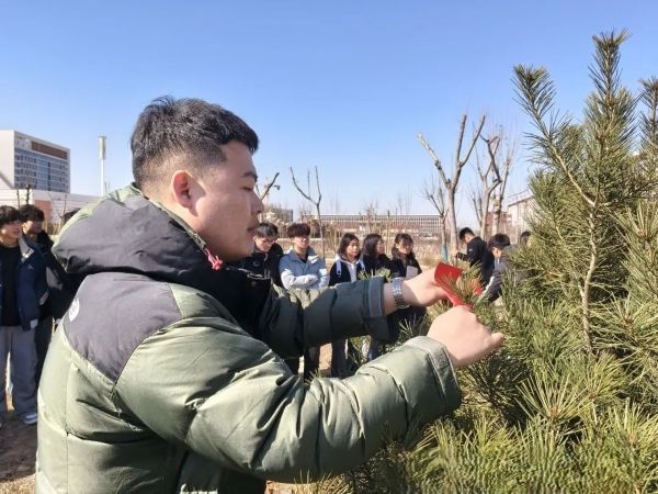 提升生态品质 共建绿色家园 || beat365各二级学院组织开展植树节主题系列活动（二） 第 13 张