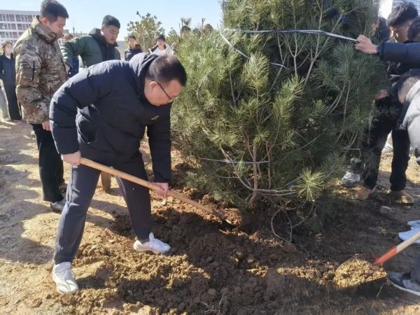 提升生态品质 共建绿色家园 || beat365各二级学院组织开展植树节主题系列活动（二） 第 14 张