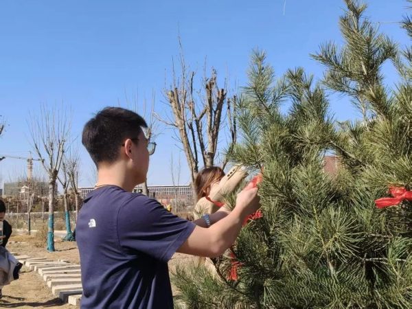 提升生态品质 共建绿色家园 || beat365各二级学院组织开展植树节主题系列活动（二） 第 15 张