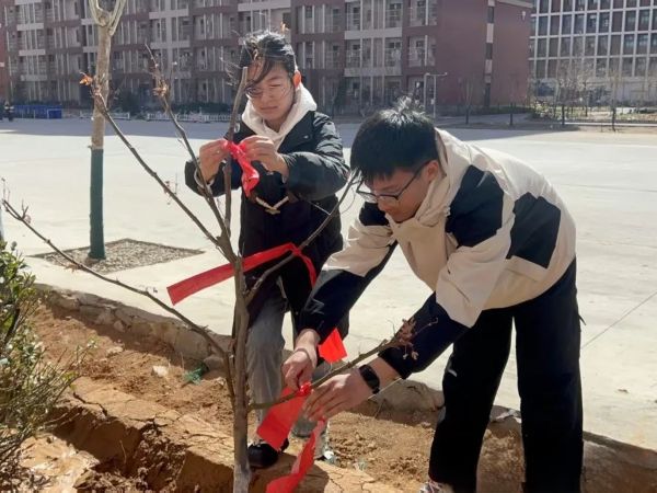 提升生态品质 共建绿色家园 || beat365各二级学院组织开展植树节主题系列活动（二） 第 19 张