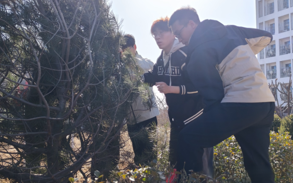 提升生态品质 共建绿色家园||beat365各二级学院组织开展植树节主题系列活动（一） 第 20 张